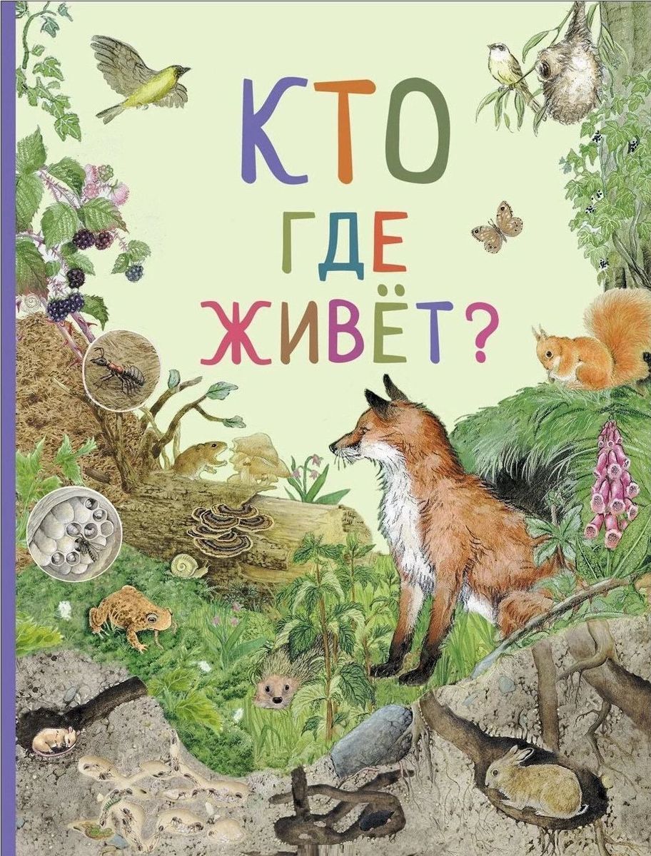 Кто где живет? Удивительный мир животных