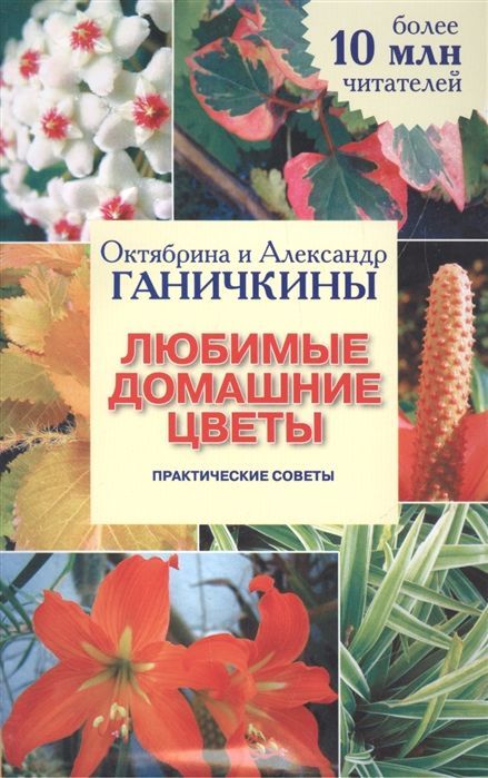 Октябрина Ганичкина Любимые домашние цветы