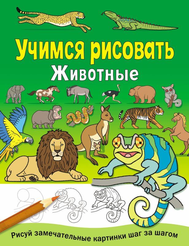 Животные. Учимся рисовать