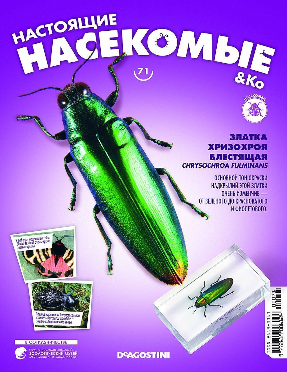 Журнал №71 "Настоящие насекомые" С ВЛОЖЕНИЕМ! Златка хризохроя блестящая