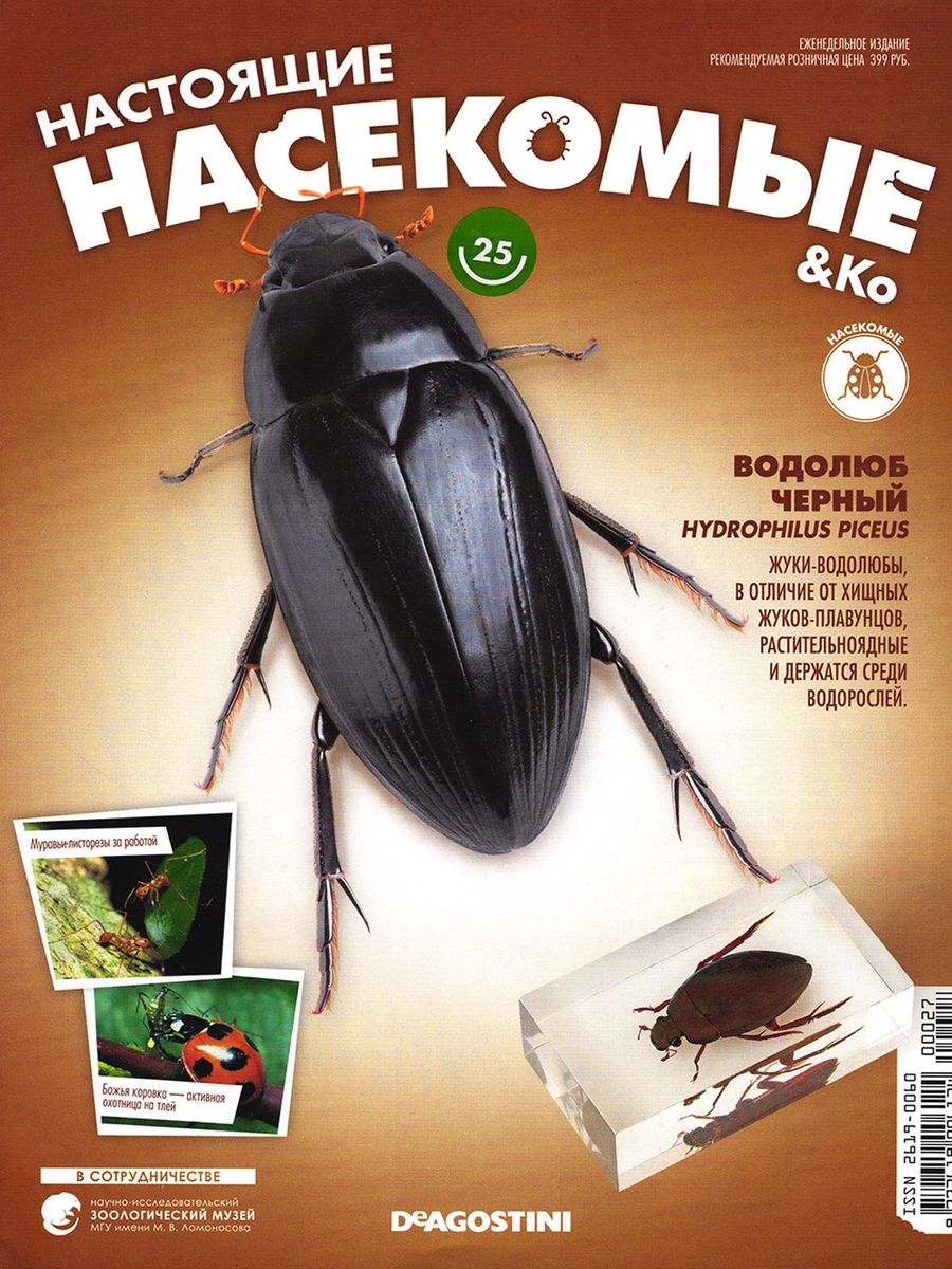 Журнал №25 "Настоящие насекомые" С ВЛОЖЕНИЕМ! Водолюб черный