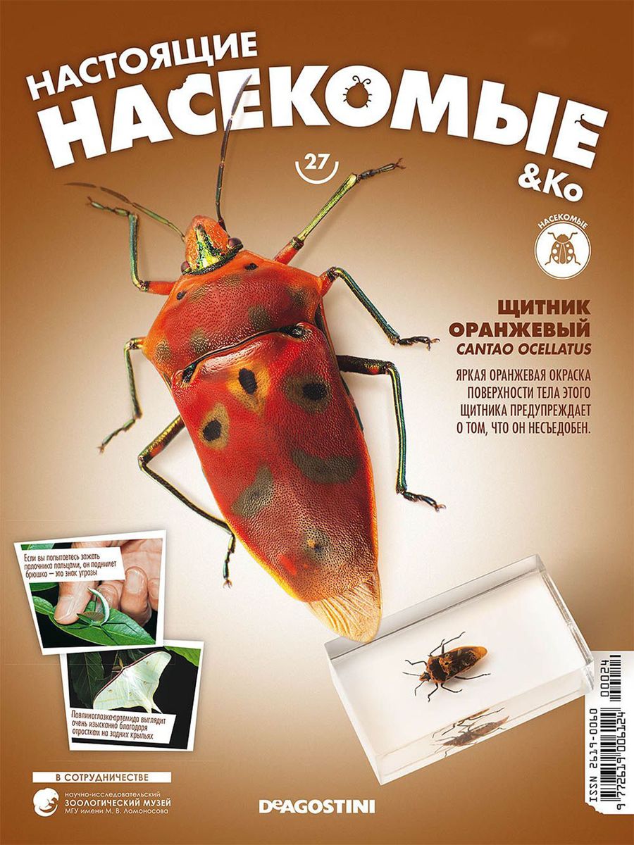 Журнал №27 "Настоящие насекомые" С ВЛОЖЕНИЕМ! Щитник оранжевый