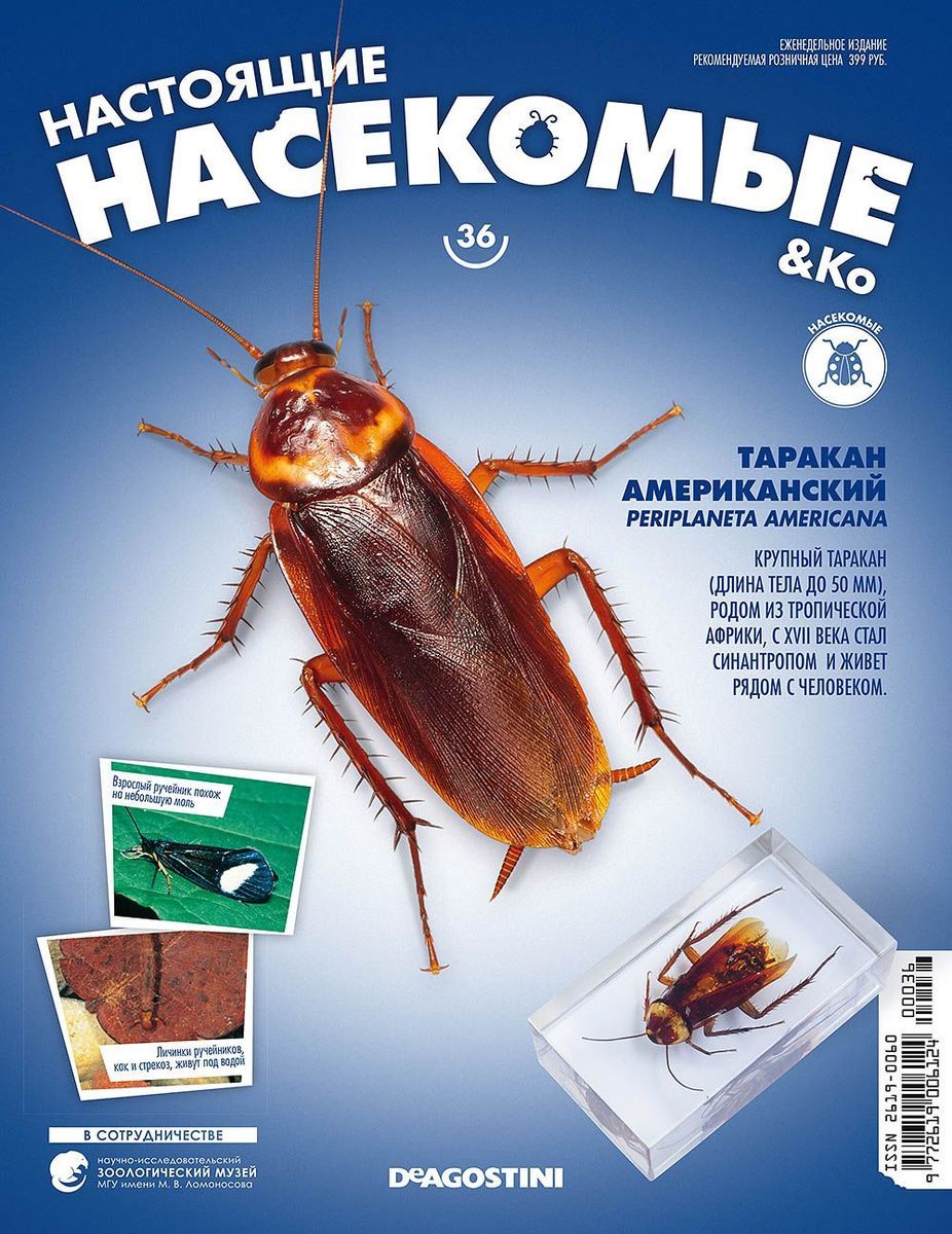 Журнал №36 "Настоящие насекомые" С ВЛОЖЕНИЕМ! Таракан американский