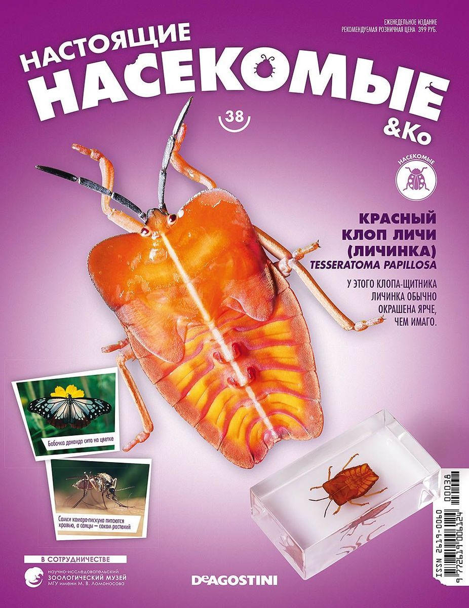 Журнал №38 "Настоящие насекомые" С ВЛОЖЕНИЕМ! Красный клоп личи (личинка)
