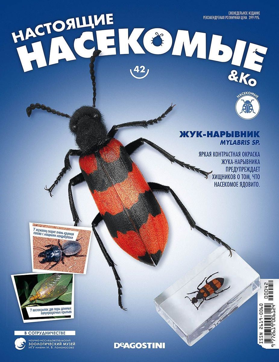 Журнал №42 "Настоящие насекомые" С ВЛОЖЕНИЕМ! Жук-нарывник