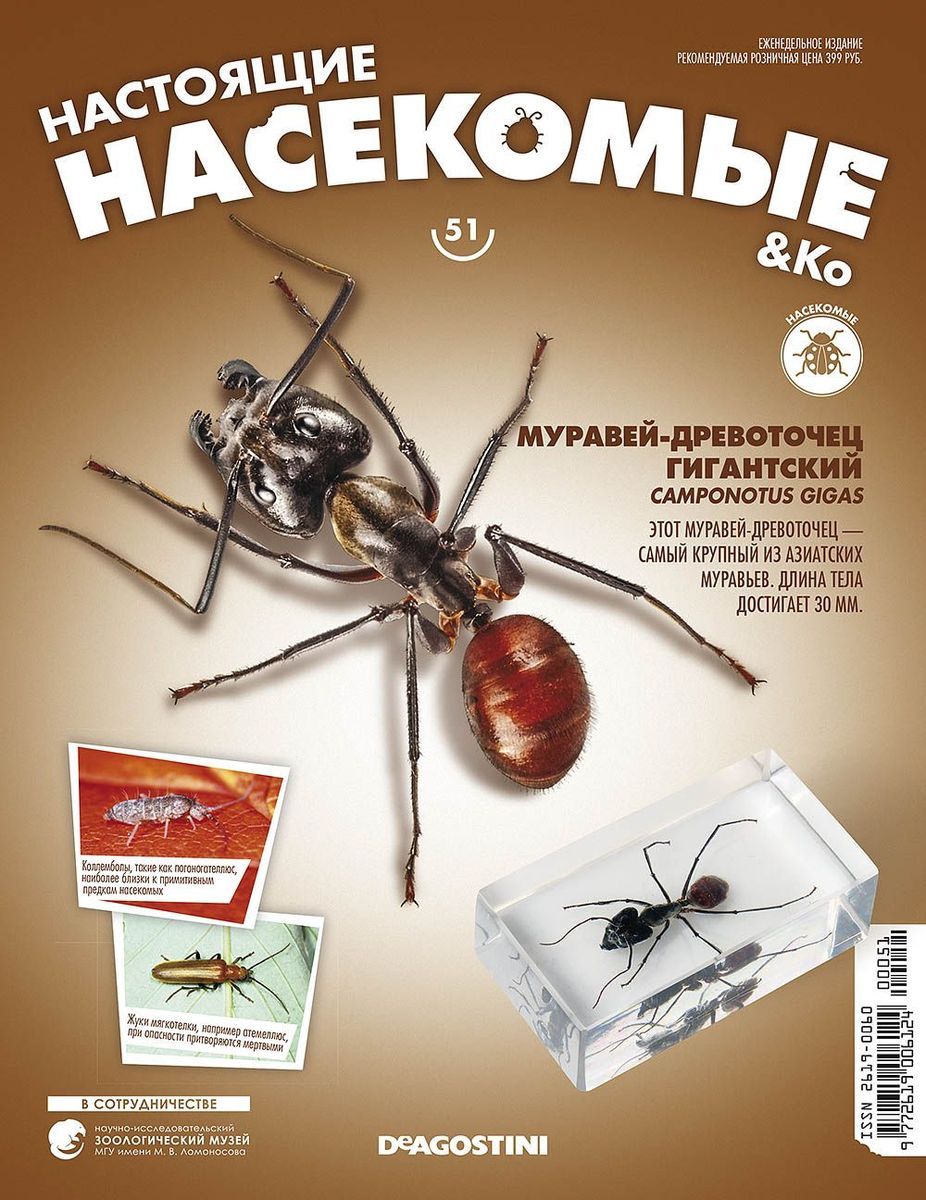 Журнал №51 "Настоящие насекомые" С ВЛОЖЕНИЕМ! Муравей-древоточец гигантский