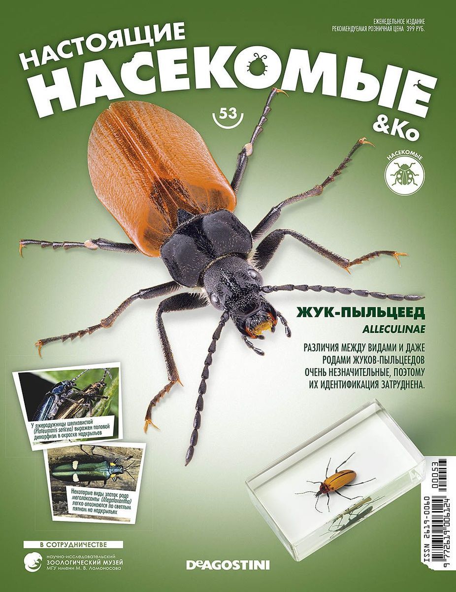 Журнал №53 "Настоящие насекомые" С ВЛОЖЕНИЕМ! Жук-пыльцеед