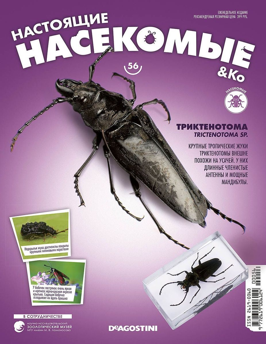 Журнал №56 "Настоящие насекомые" С ВЛОЖЕНИЕМ! Триктенотома