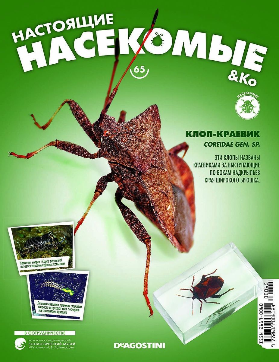 Журнал №65 "Настоящие насекомые" С ВЛОЖЕНИЕМ! Клоп-краевик