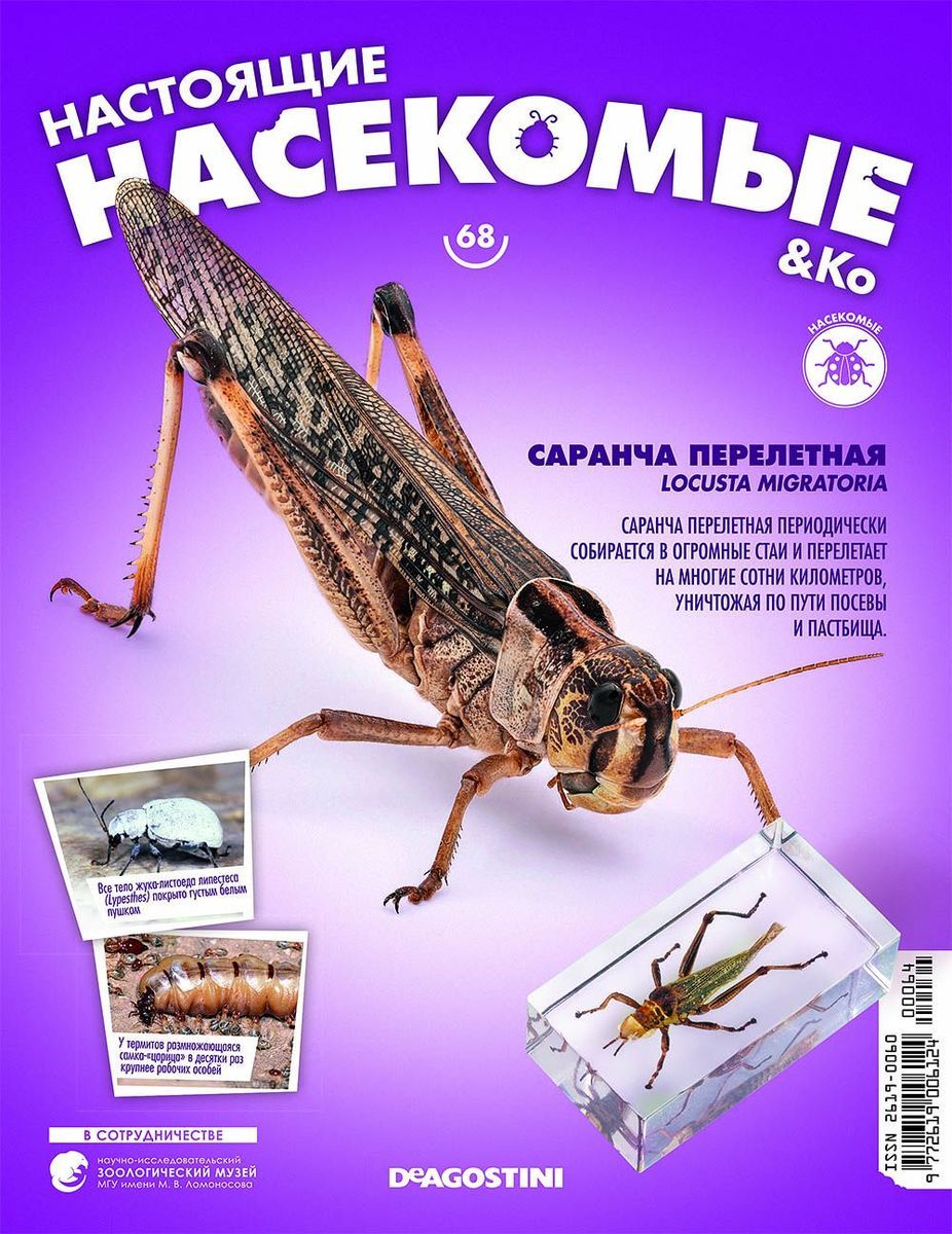 Журнал №68 "Настоящие насекомые" С ВЛОЖЕНИЕМ! Саранча перелетная