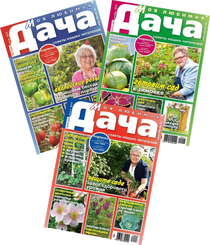 Комплект  журналов Моя любимая дача (7/19 + 8/19 + 11/19) Сад и огород
